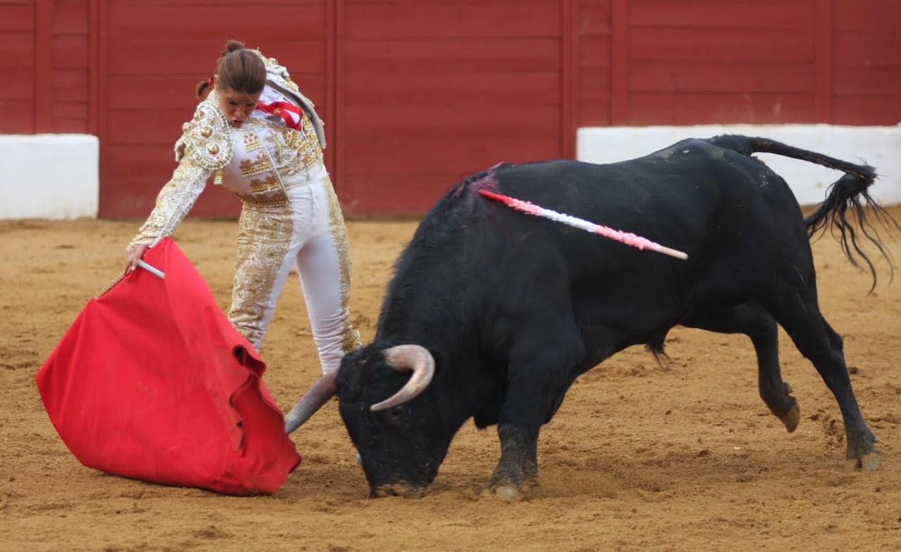Độc đáo Trường đấu bò Plaza de Toros ở Madrid, Tây Ban Nha